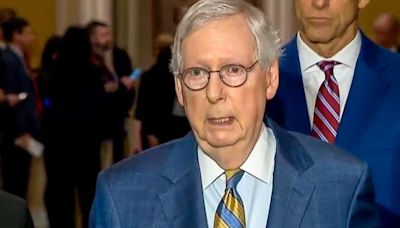 Boos drown out Mitch McConnell at Republican National Convention