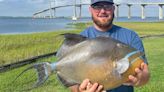 Brunswick man sets new triggerfish state record