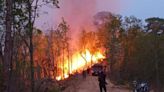 Incendio en Los Chimalapas amenaza selva virgen en Oaxaca; helicóptero presentó “fallas técnicas” y ya no voló
