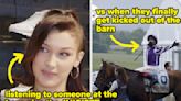 Equestrians Are Dishing The Worst-Kept Secrets Making The Gossip Rounds At Every Barn, And I Was Reading Some Of...