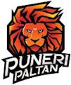 Puneri Paltan