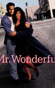 Mr. Wonderful