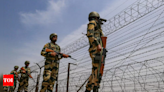 Terrorists open fire on army camp in J&K's Rajouri, soldier injured | India News - Times of India