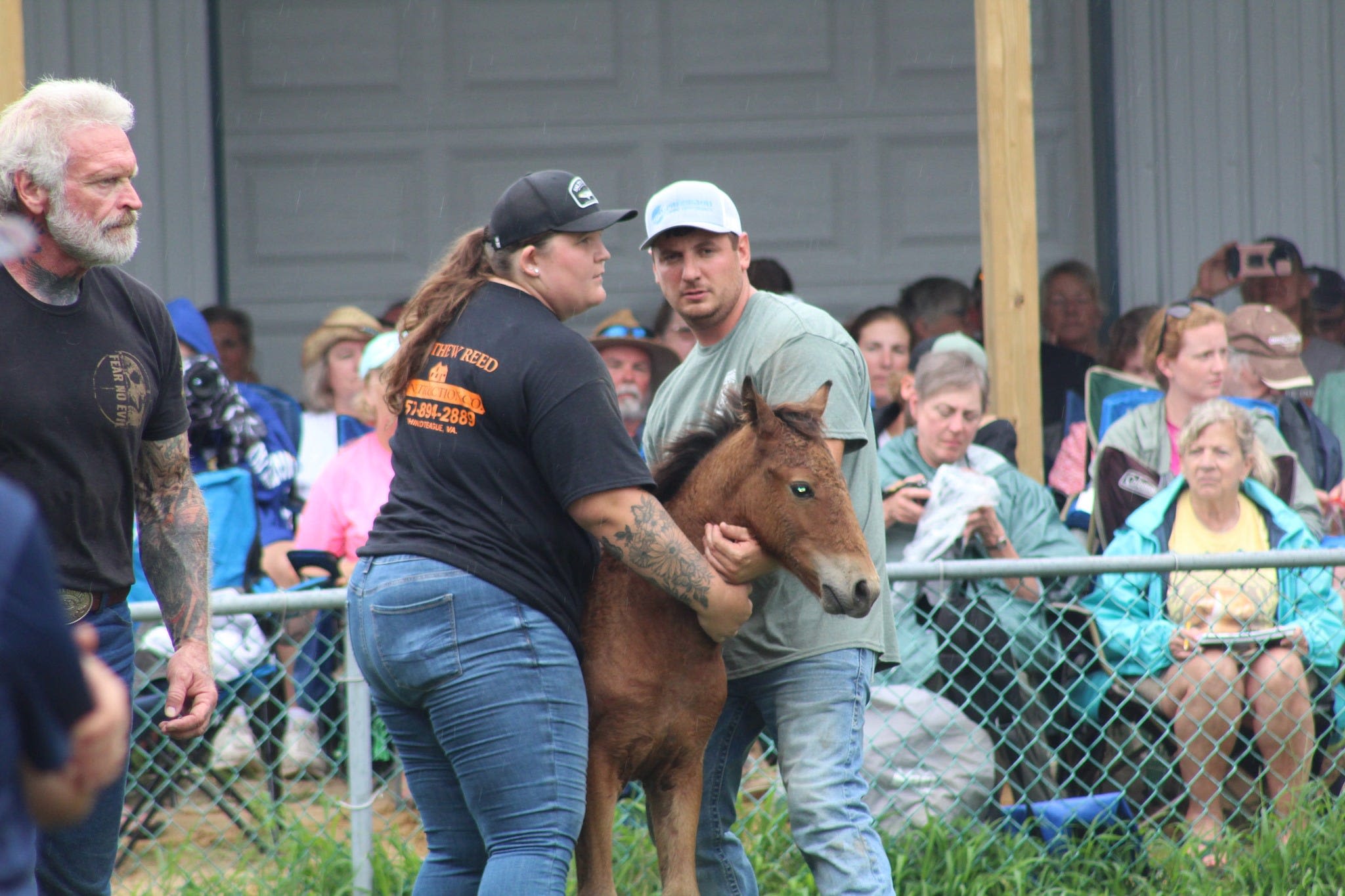 Chincoteague Pony Auction 2024 sets two huge new records. Find out all about it.