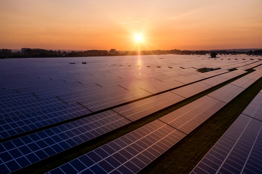 Labour and Solar Energy UK out to disprove solar’s threat to UK farming