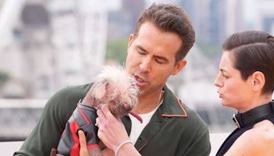 Ryan Reynolds pictured holding Dogpool at Deadpool and Wolverine photo call