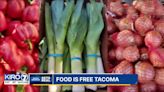 Neighbors helping neighbors in Tacoma’s ongoing food crisis