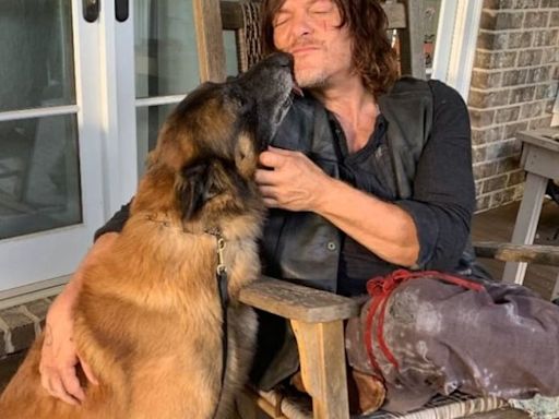 Tristeza por la muerte de Seven, el perro que fue el “mejor compañero” de Daryl en The Walking Dead