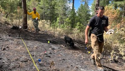 AFR helping investigate the cause of Ruidoso wildfires