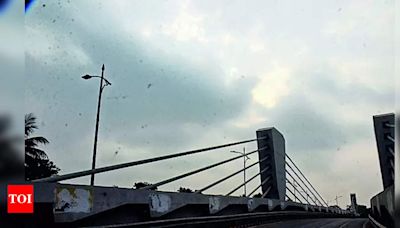 Monsoon May Cover Entirestate In 3-4 Days: Met Office | Patna News - Times of India