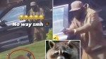 Run fur your life! Licensed gun owner fires at raccoon that chased after him in NYC: video