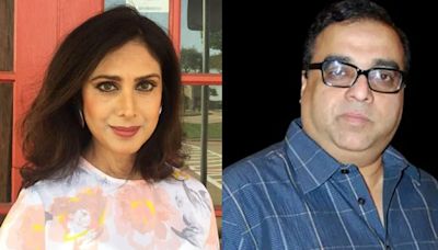 Meenakshi Seshadri Reveals Being Removed From 'Damini' After She Rejected Rajkumar Santoshi’s Marriage Proposal
