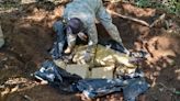 La Nación / Detectan una tonelada de marihuana oculta bajo tierra en Amambay
