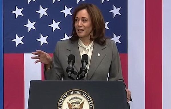 Kamala Harris in Detroit: Grants for small businesses, auto suppliers announced