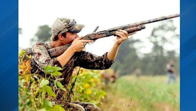 Arkansas Game and Fish Commission opens dove season applications August 1-15