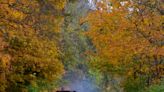 Erosion in Cuyahoga Valley National Park curtails most scenic railroad excursions