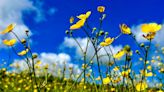 Northern Ireland logs warmest May since record began