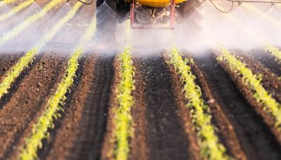 Los pesticidas pueden equivaler a fumar en el riesgo de desarrolalr cáncer