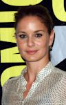 Sarah Wayne Callies