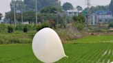 Fears over new North Korean rubbish balloon launches toward South
