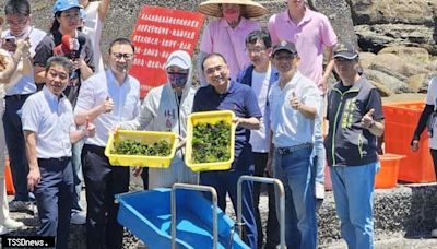 致力海洋永續 新北市海洋復育園區攜手Xpark水族館復育放流6000紫海膽