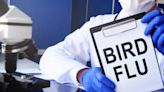 Michigan Dairy Worker Diagnosed With Bird Flu