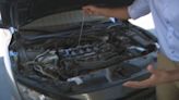Auto experts encourage drivers to check vehicles amid heat wave