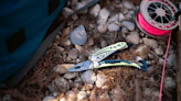 Beyond Just Black: Leatherman Gives Skeletool a 4-Color Facelift