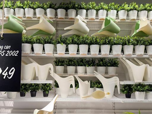 Adiós a los mosquitos: la planta de Ikea para la ventana que los destierra para siempre