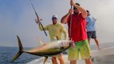 Yellowfin tuna, humpback whales mix on NJ fishing grounds