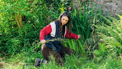 Nine things I learnt when building a small garden from scratch