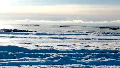 Frío extremo en Tierra del Fuego: las olas del mar se congelaron en el norte de la provincia