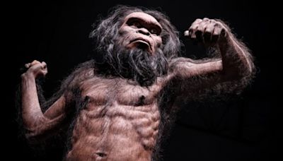 What Was The First Human Species, And What Makes It Human?