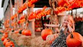 Nine pumpkin patches within an hour’s drive or less from Wichita