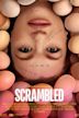 Scrambled (film)