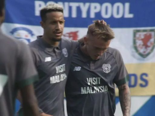 What just happened in Cardiff City's pre-season friendly with Hamburger SV