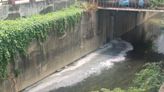 追查高市大智陸橋下死魚 抓到2家工廠偷排廢水最重罰300萬