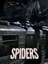 Spiders 3D