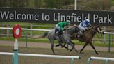 Horse racing tips today: You Got To Me and Madame De Sevigne can deliver at Lingfield