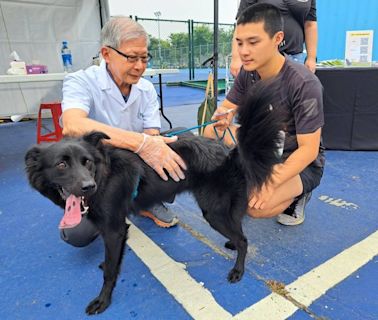 台積電運動會攜手中華保護動物協會 推出寵物路跑與健康檢查活動 | 蕃新聞