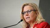 Donald Trump will 'shatter' the Republican party if he's the 2024 nominee, resulting in a new conservative party, Liz Cheney predicts