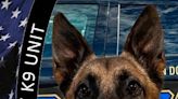 K9 sniffs out drugs during traffic stop in Akron, 34-year-old woman arrested