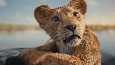 Mufasa: Il re leone, rilasciato il trailer del film Disney con Beyoncé e la figlia Blue Ivy Carter