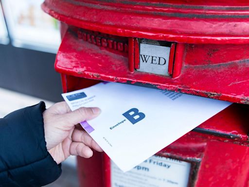 Voters' concern over delayed postal ballots