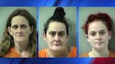 3 women charged with animal cruelty after deputies found 41 animals ‘severely mistreated’, sheriff says