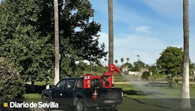 Coria del Río comienza la fumigación en las zonas verdes para reducir la presencia de mosquitos