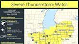 Severe Thunderstorm Watch issued for part of Lower Michigan