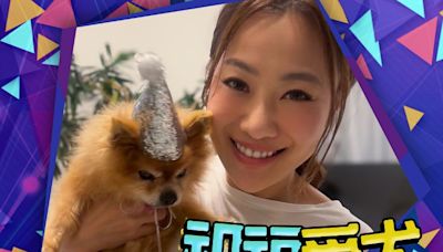 朱智賢愛犬冬甩17歲生日 寫下感動祝福