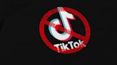 The impact of TikTok's ban in other countries could signal what's ahead for the U.S.