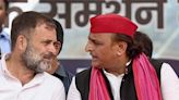 Rahul, Akhilesh abandon rally in Phulpur due to 'stampede-like' crowd